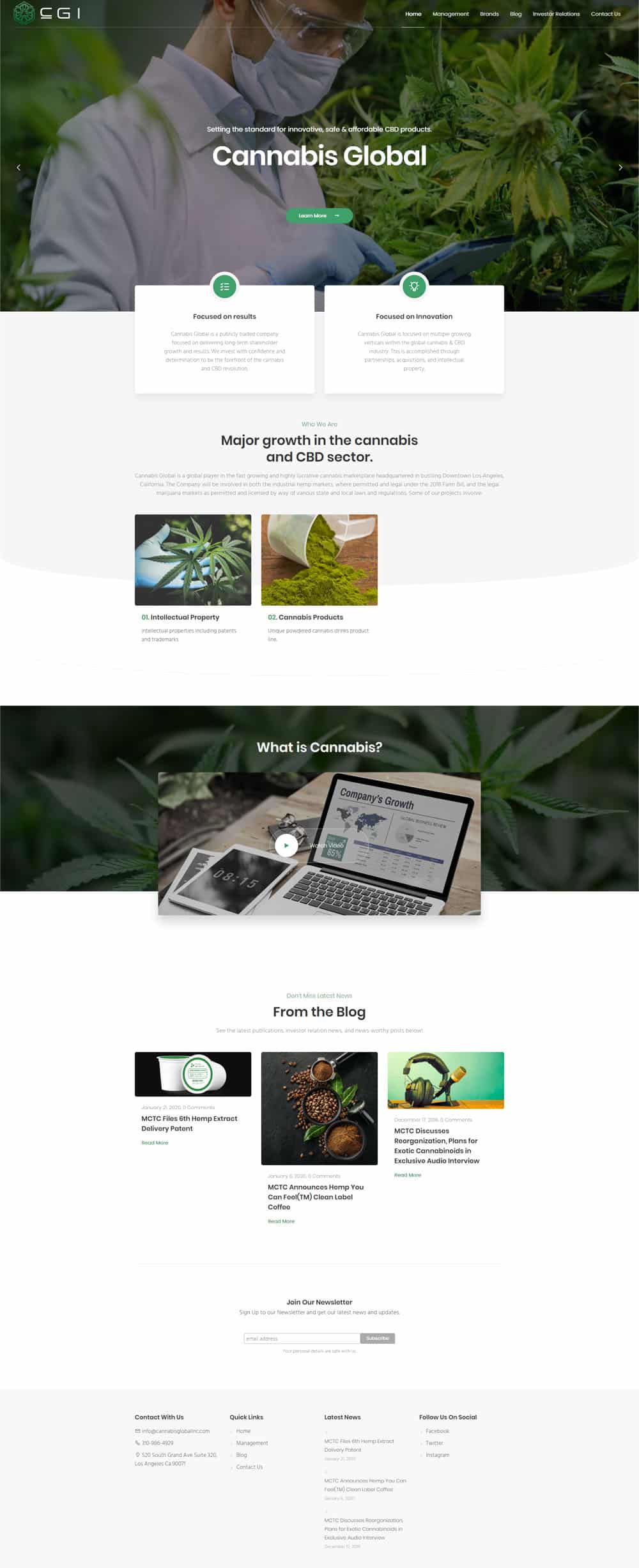 cbd consulting website design in Miami