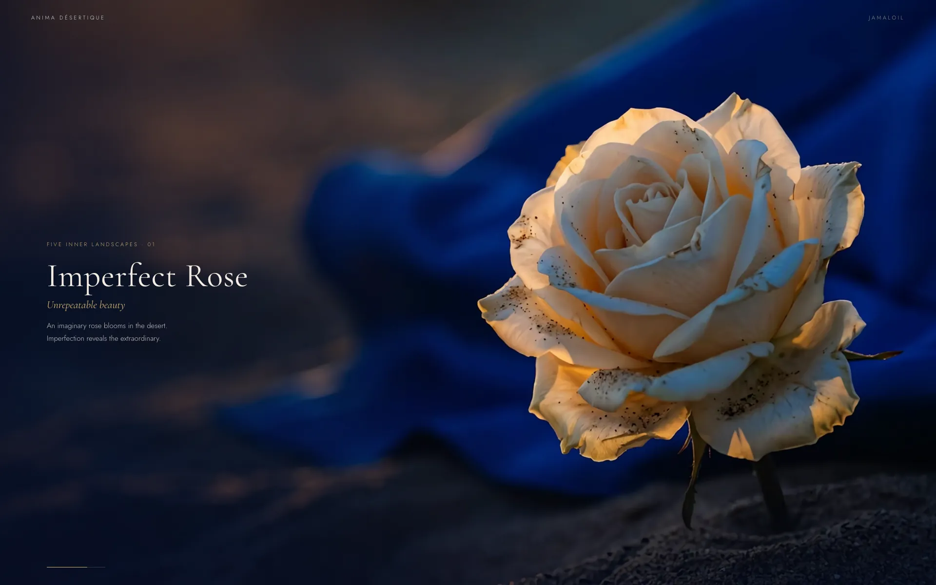 Anima Désertique: Imperfect Rose, a cream rose rising from the sand